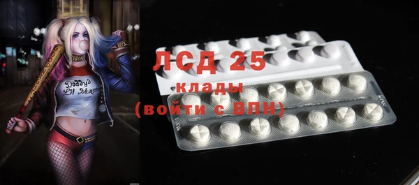 PSILOCYBIN Балахна