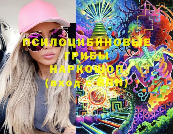 твердый Арсеньев