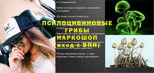 PSILOCYBIN Балахна
