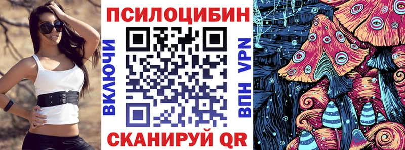 сколько стоит  Старая Русса  Псилоцибиновые грибы Psilocybine cubensis 